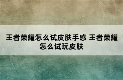 王者荣耀怎么试皮肤手感 王者荣耀怎么试玩皮肤